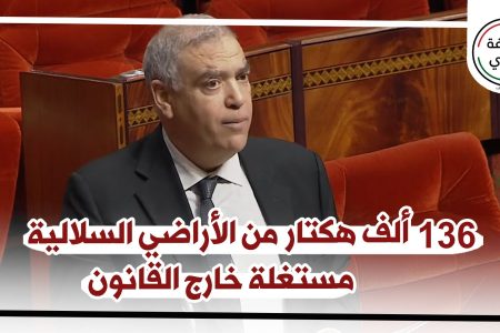 عدد الأراضي السلالية المحفظة تضاعف بـ “10” مرات بين سنتي 2014 و 2024