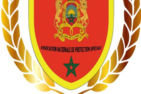 نظمت الجمعية الوطنية للحماية الخاصة بمدينة اسفي