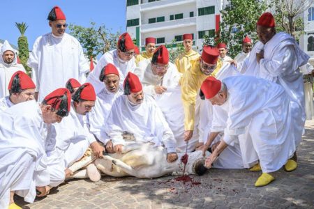أمير المؤمنين يؤدي صلاة عيد الأضحى المبارك بمسجد الحسن الثاني بتطوان ويتقبل التهاني بهذه المناسبة السعيدة عيد الأضحى المبارك