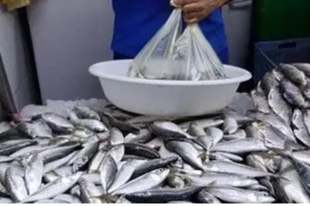 ارتفاع أسعار السمك بأسواق مدينة الجديدة والسردين بالخصوص يغضب المواطن البسيط