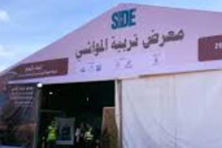 جماعة سيدي علي بن حمدوش إقليم الجديدة : الاستعداد لاستقبال الدورة الثانية لمعرض تربية المواشي