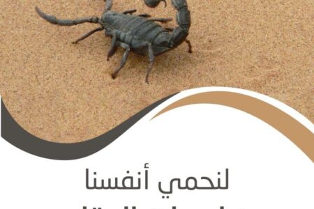 تفعيل استراتيجية وزارة الصحة والحماية الاجتماعية بخصوص التصدي ومحاربة لسعات العقارب ولدغات الافاعي محور اجتماع على مستوى جهة درعة تافيلالت