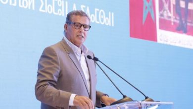 أخنوش في كلميم: “حكومتنا ديال المعقول” وندعو المواطنين لقول الحقيقة حتى لو كانت نقداً