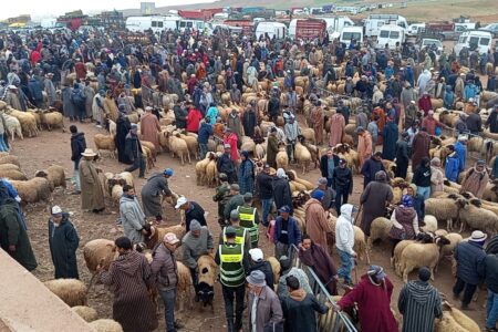 بومية إقليم ميدلت       باشا الباشوية يتفقد سوق الماشية وسط إقبال كثيف قبل عيد الأضحى