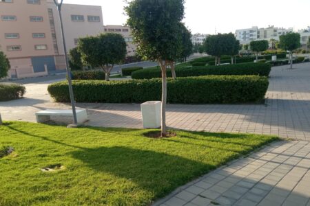 جماعة أولاد صالح تواصل تنزيل الاستحقاقات التنموية لفائدة الساكنة