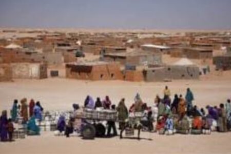 من تقرير المصير إلى تصريف الأزمة: الجزائر تجرّ قنبلة تندوف نحو المنطقة العازلة